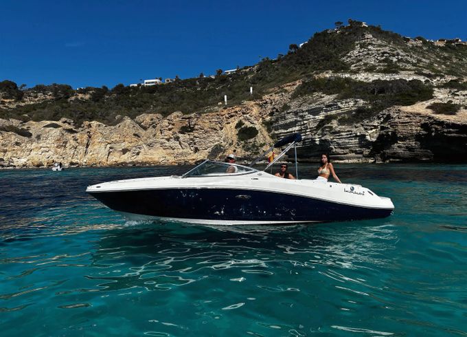 Sea Ray 230