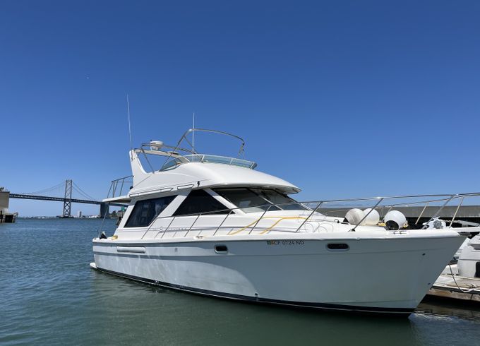 Bayliner 3988