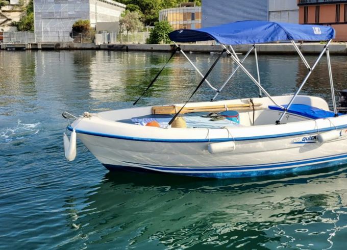 Quicksilver 410 Fish