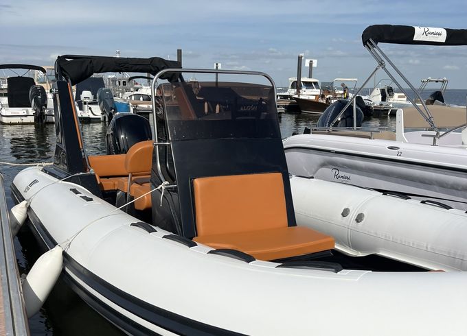 Tiger 600 Topline