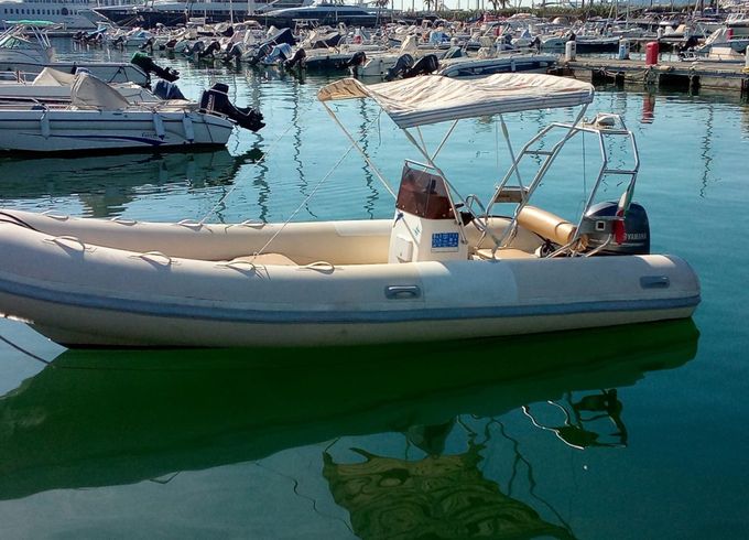 PEGASO 560