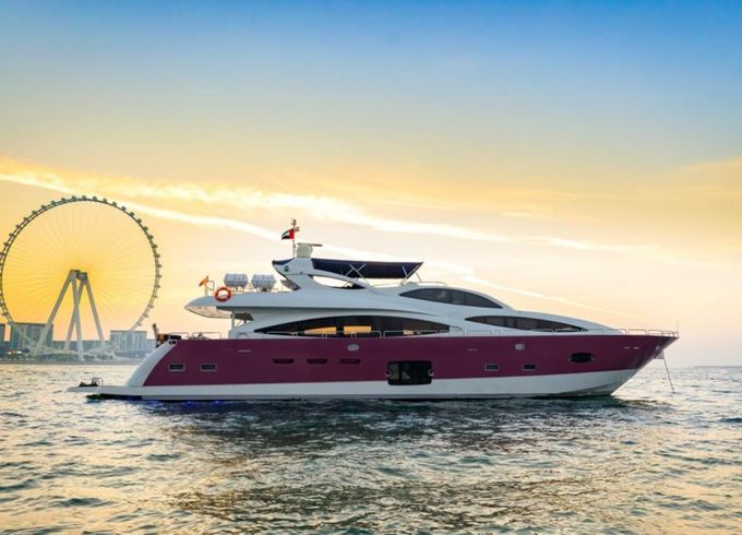 Sky walker 110