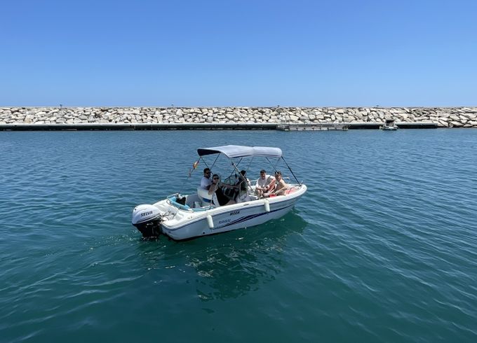 Rainieri Azzurra 500