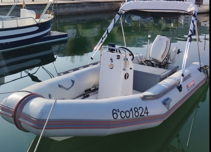 Narwhal 400