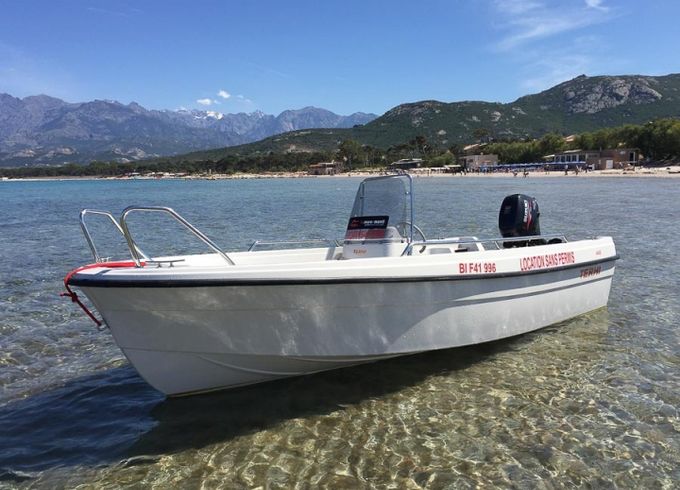 Terhi 445 C