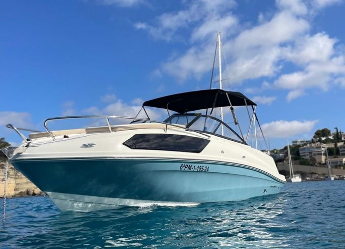 Bayliner VR6 OB