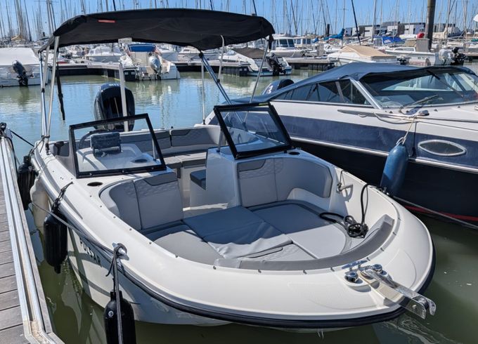 Bayliner Element