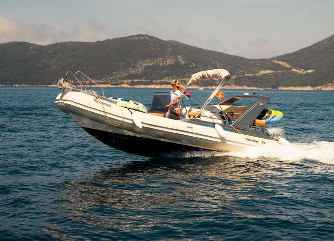 Shark 23