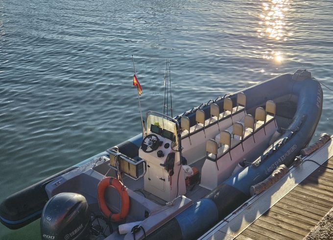 COBRA RIB 755