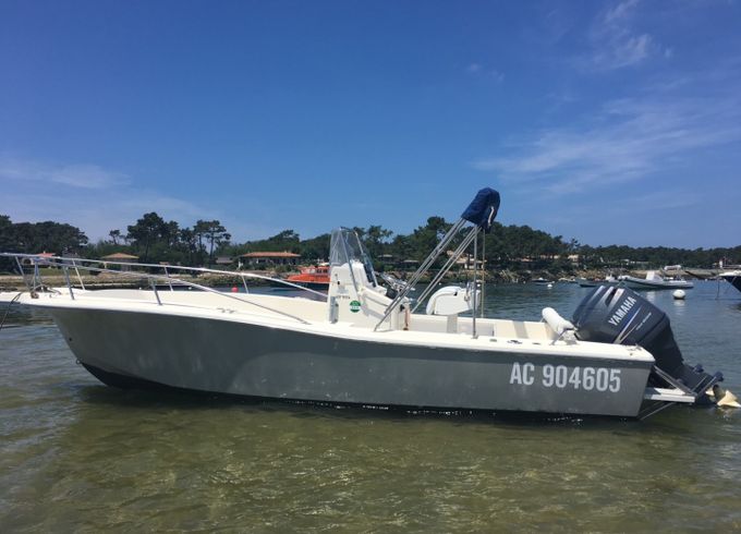 White Shark Sundowner 215