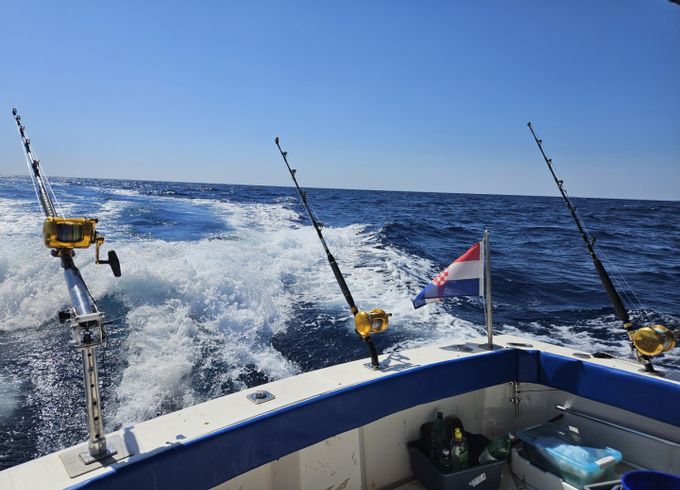 Luhrs 27 Fishing