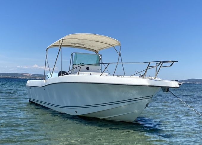 White Shark 265