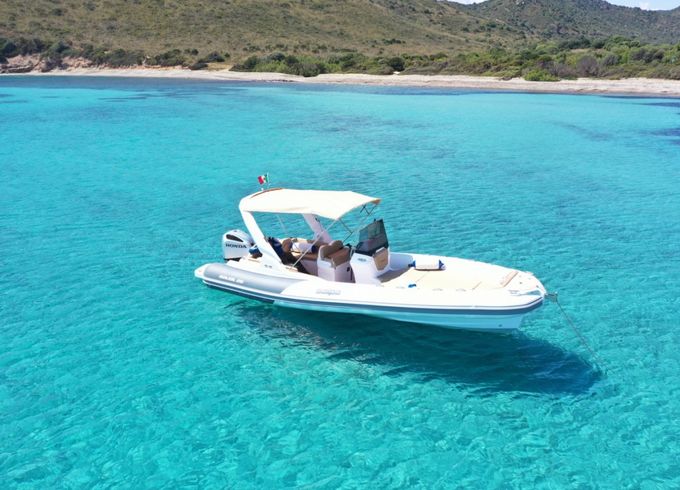 Salpa Soleil 26