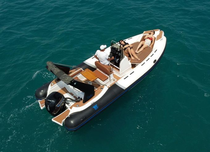 Tiger Topline 650