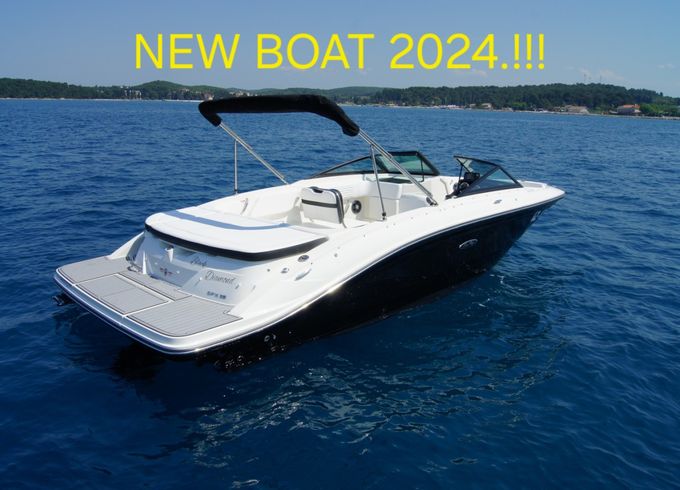 Sea Ray SPX 210