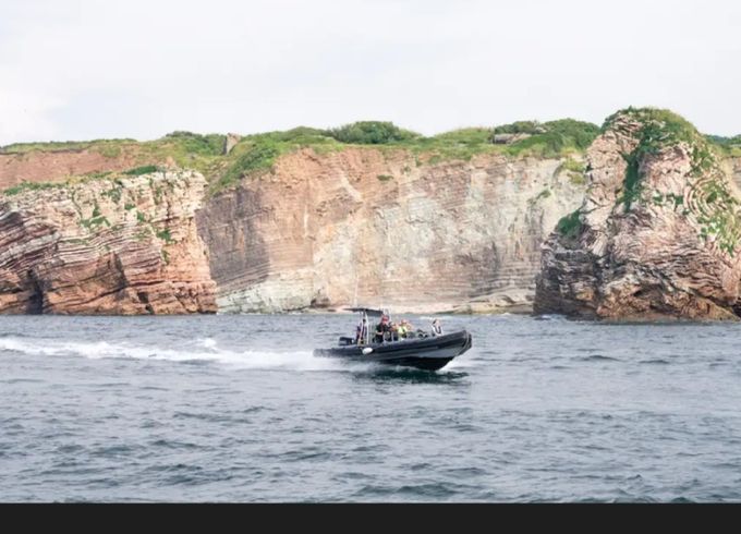 3D Tender Patrol 860