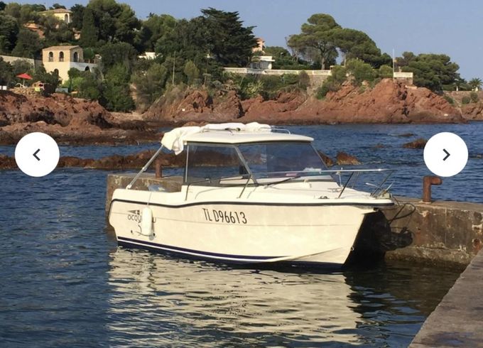 Ocqueteau Alienor 540