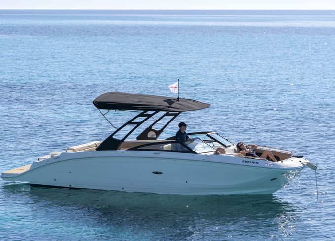 Sea Ray SDX 290
