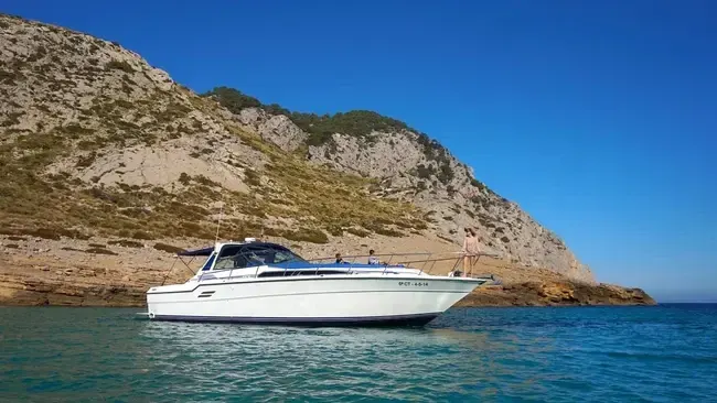 Sea Ray 460