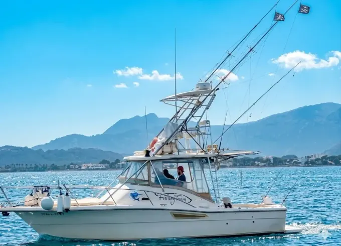 Tiara 3100 open