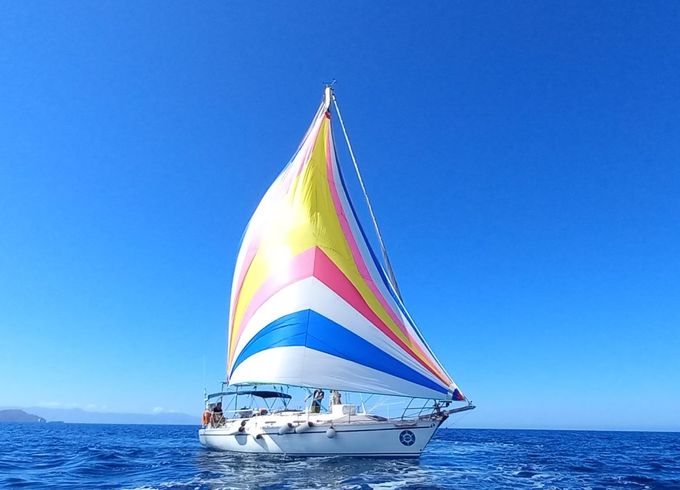 Dromor Apollo 12 Plus