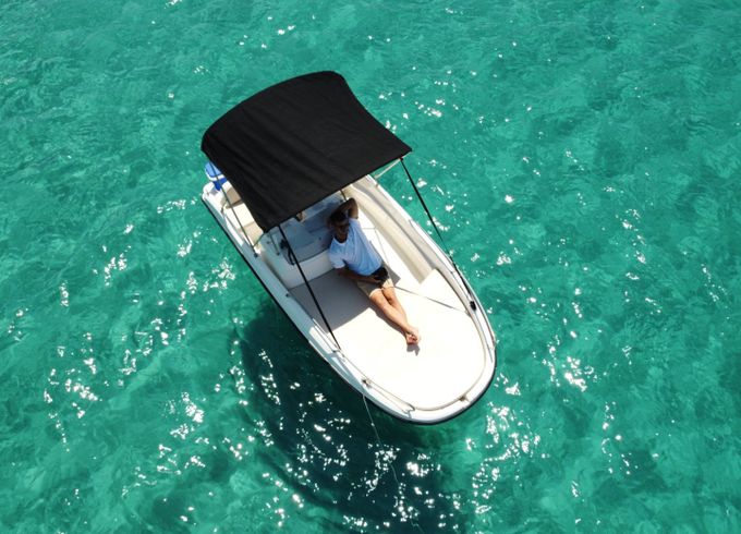 Remus 450