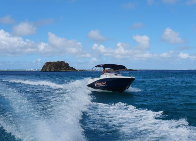 Jeanneau Cap Camarat 6.5 WA