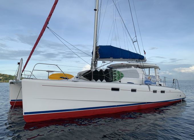 Leopard 43