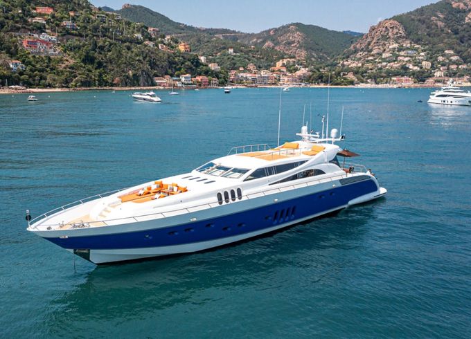 Leopard 34