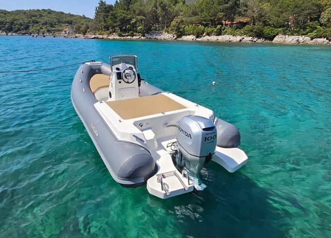 Nautilus 19