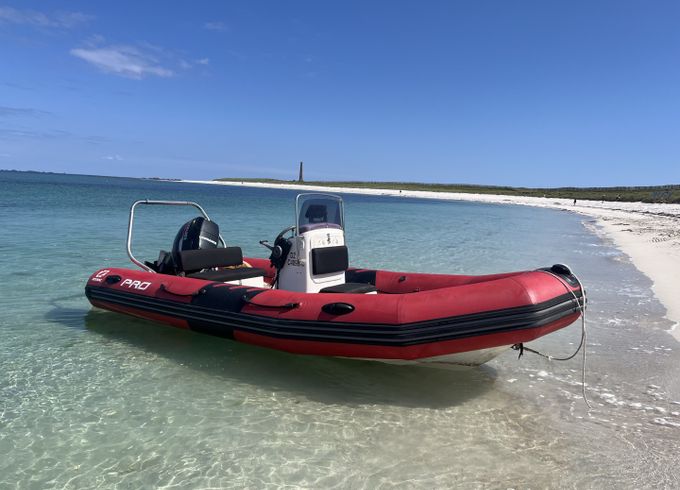 Zodiac Pro 12 Man