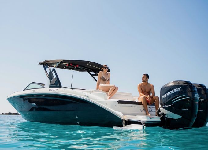 Sea Ray SDX 290 OB