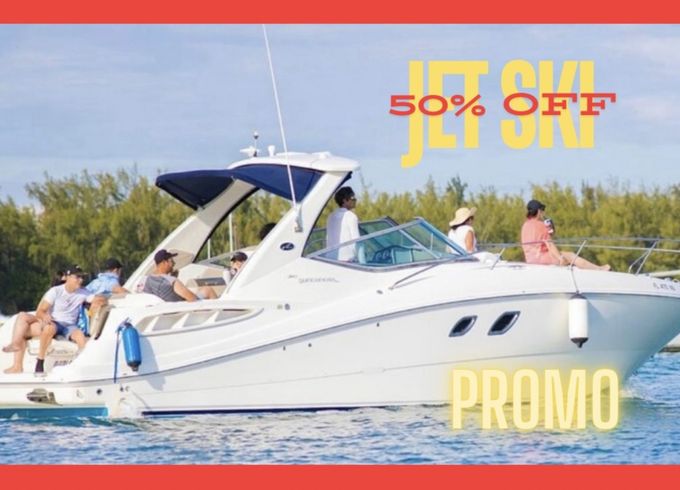 Sea Ray 310