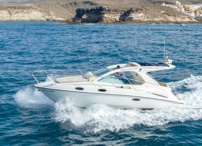Sealine 290