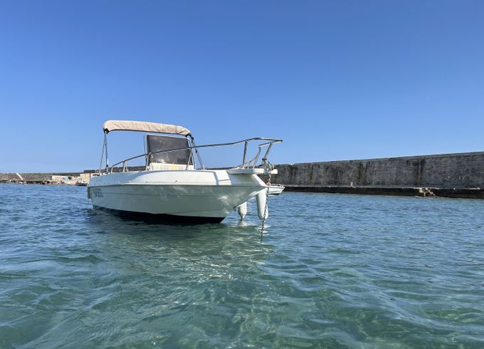 Salpa Soleil 20
