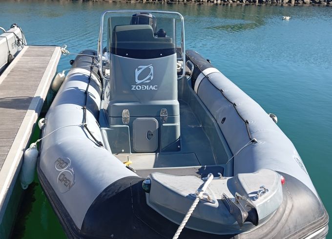 Zodiac Pro 6.5