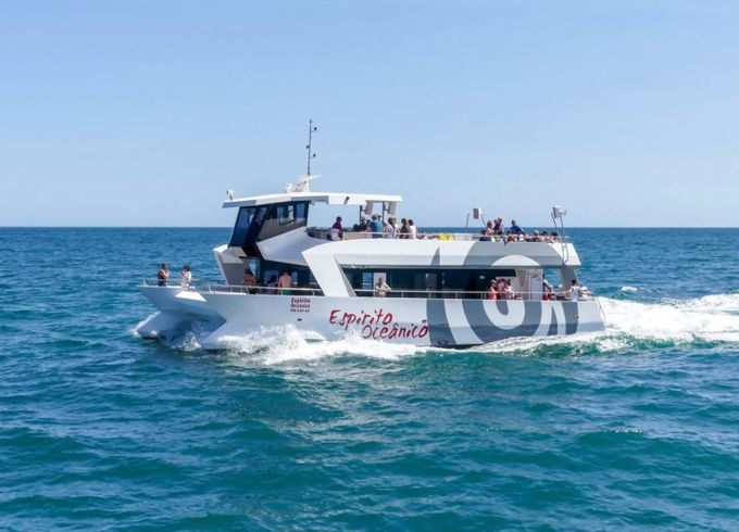 Catamaran Custom