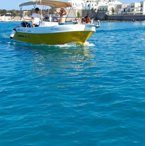 Albatros22 Open space