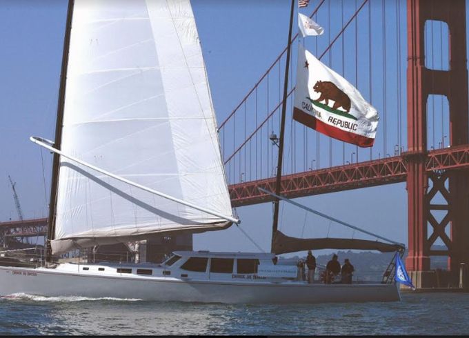 Wyliecat 65