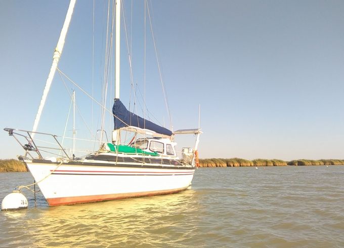 Dufour 3800
