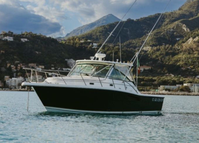 PURSUIT 3400 "Express"