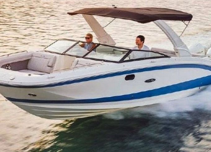 Sea Ray SDX 290