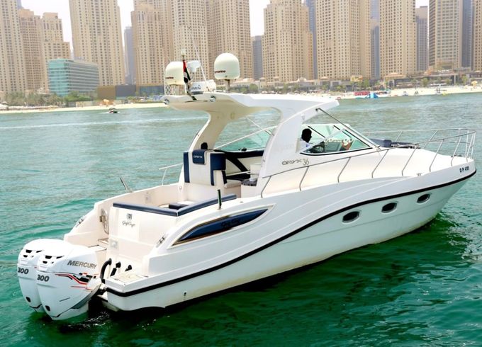 Oryx 36 FEET
