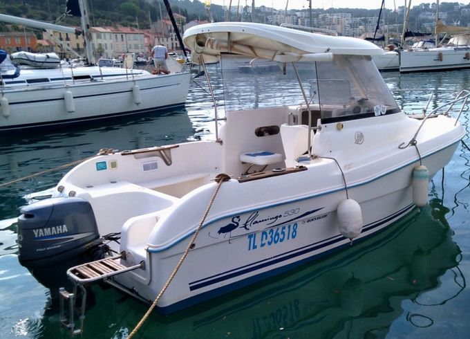 Quicksilver 530 Flamingo