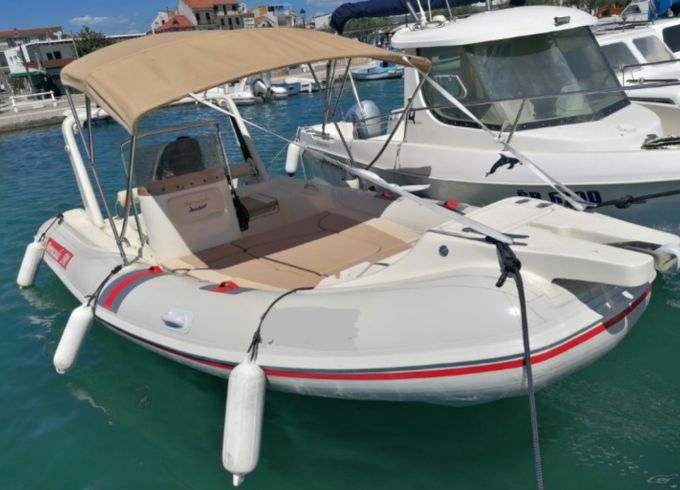 Barracuda 590