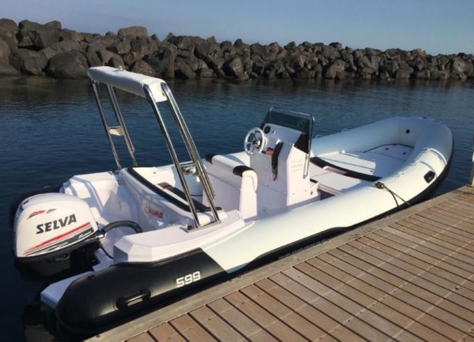 Predator 599