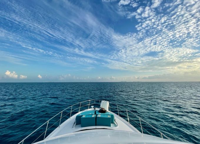 Sea Ray Flybridge