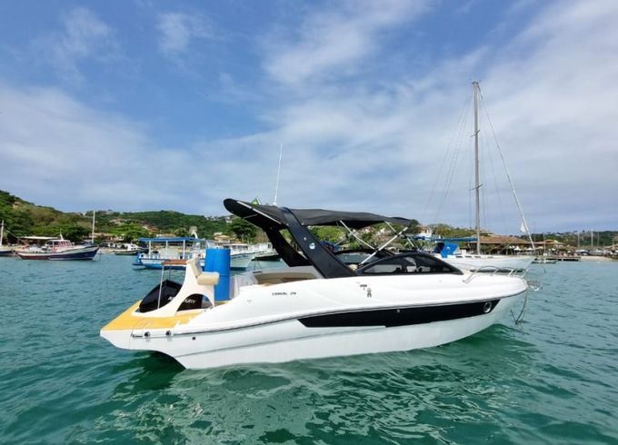 Coral 26