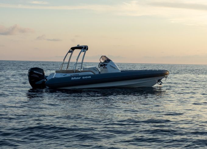 MARSEA 850