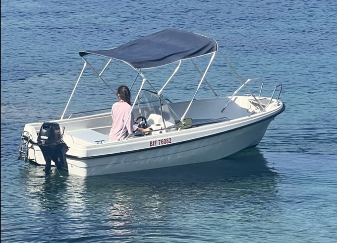Terhi 445 C